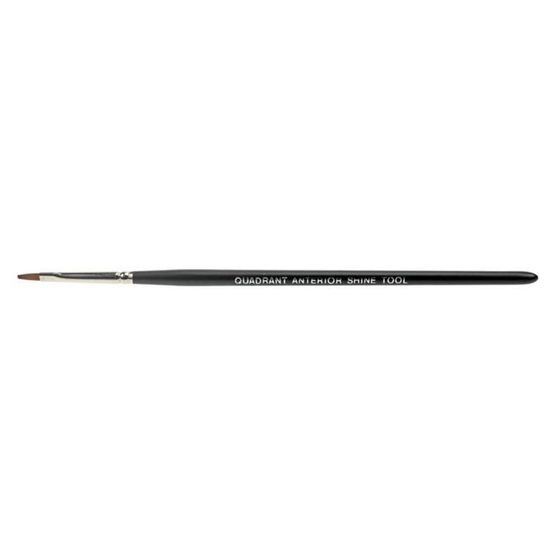 Quadrant anterior shine tool quast