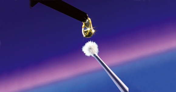 One coat bond refill