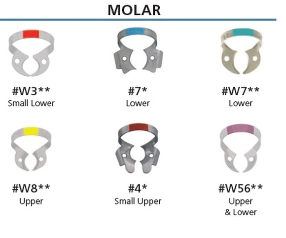 Fiesta color coded matte finish clamp 7 (flat jawed, lower molar)