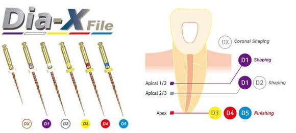 Dia-x niti rotary files 21mm / d2