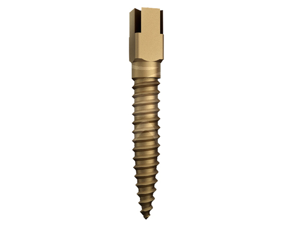 Dentatus screw posts short gold-plated nr. 2 (6st)