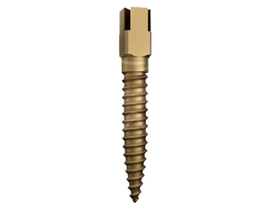 dentatus screw posts short gold-plated nr. 2 (6st)