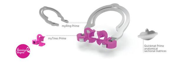 Polydentia quickmat prime anatomical sect.matrixen