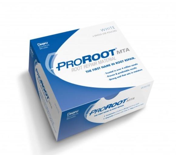 Proroot mta white a0405-2