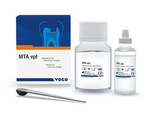 voco mta vpt poeder + vloeistof 10gr/10ml