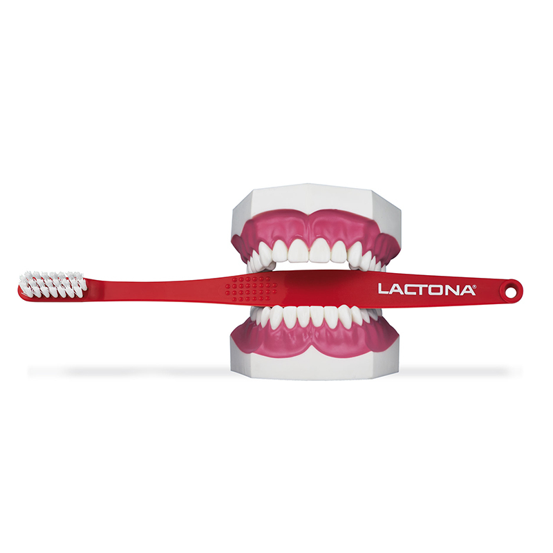 Lactona demo-gebits model excl.borstel