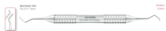 Asa lady leonardo light taylor scaler 2/3