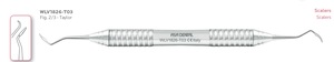 asa lady leonardo light taylor scaler 2/3