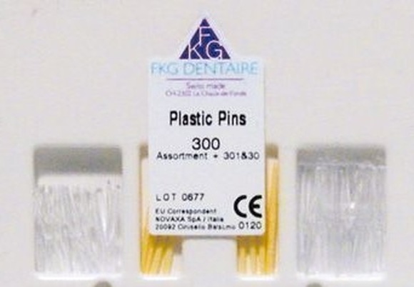 Fkg plastic pins transparant nr.1