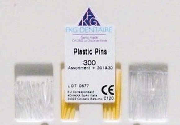 Fkg plastic pins transparant nr.2