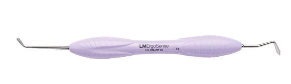 Lm-arte restauration posterior misura ergosense