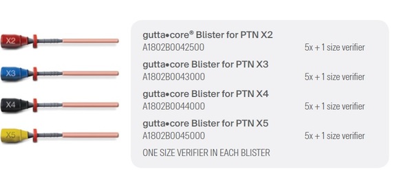 Guttacore voor protaper next x2 a1803b