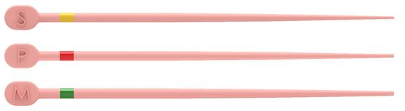 Trunatomy conform fit gutta percha assortiment