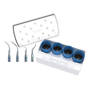 satelec scaling set (4 tips + 2 sleutels)