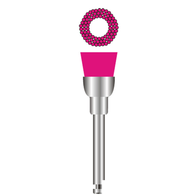 Fhs smart prophy brushes ra roze soft