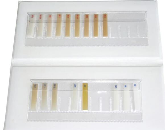 Enamel plus hri complete shade guide