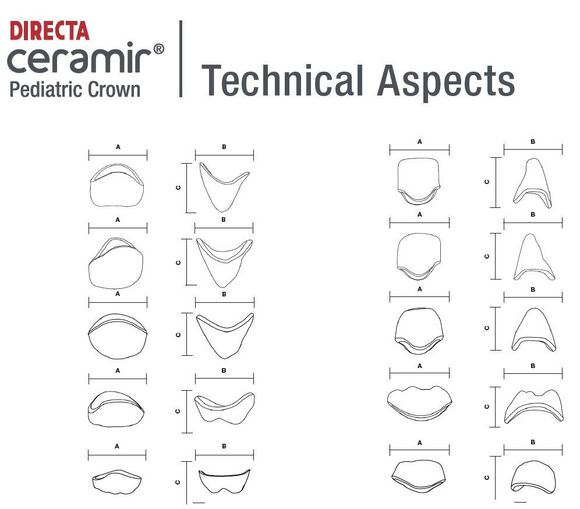 Ceramir pediatric crown 85/t medium