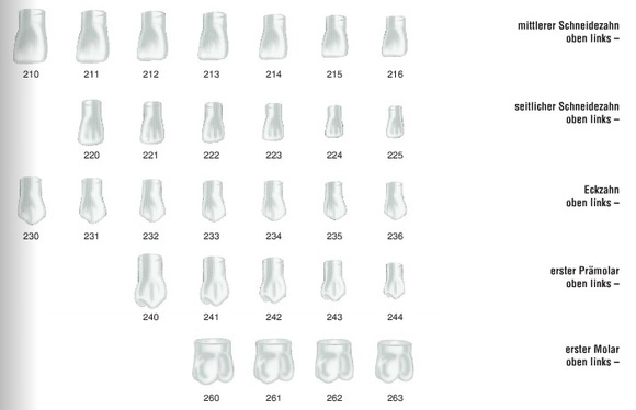 Frasaco stripkronen 213 transparant
