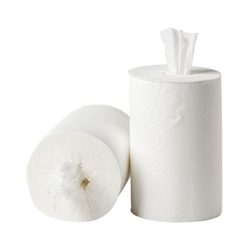 Poetsrol mini coreless cellulose 1l 19cm