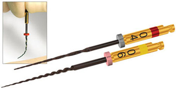 Hyflex cm niti files refill 20/.06 21mm steriel