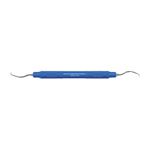 american eagle gracey +3 access anterior 13-14x