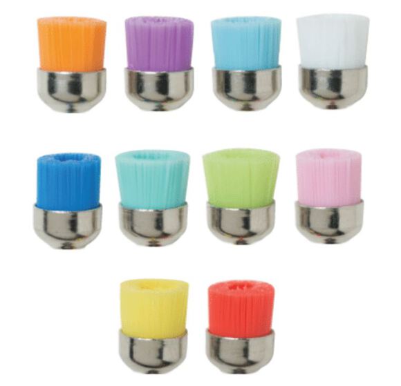 Premium prophy borstel nylon jun.cup screw ass.