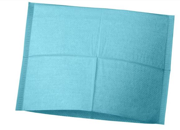 Hoofdsteunzakken gevouwen 25x33cm laguna blauw