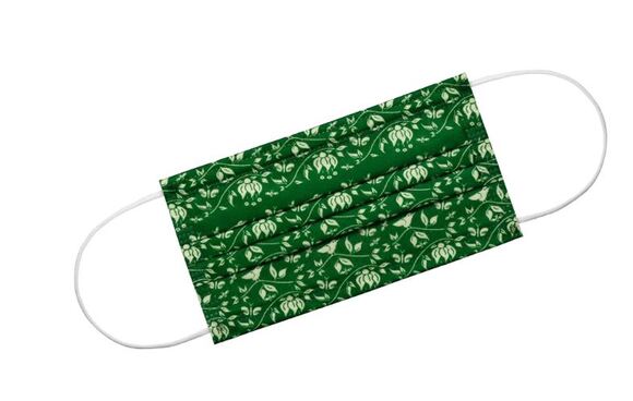 Paradise edition mondmaskers 3l iir frisgroen